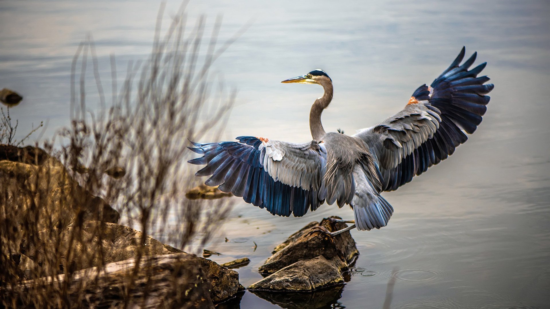 “球场趣闻:NBA那些爆笑又令人感动的故事”,nba搞笑的事