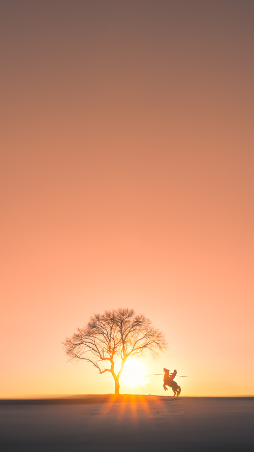 中国赛车手获世界耐力赛冠军,创历史新高,赛车耐力赛规则