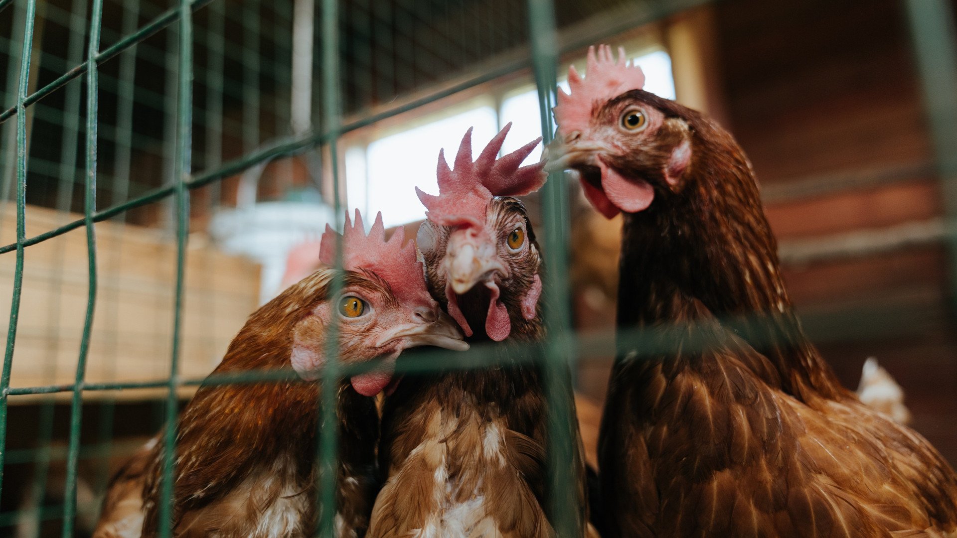 九游(jiuyou)官方网站-坎特加盟切尔西，中场组织大升级，坎特在切尔西穿几号球衣