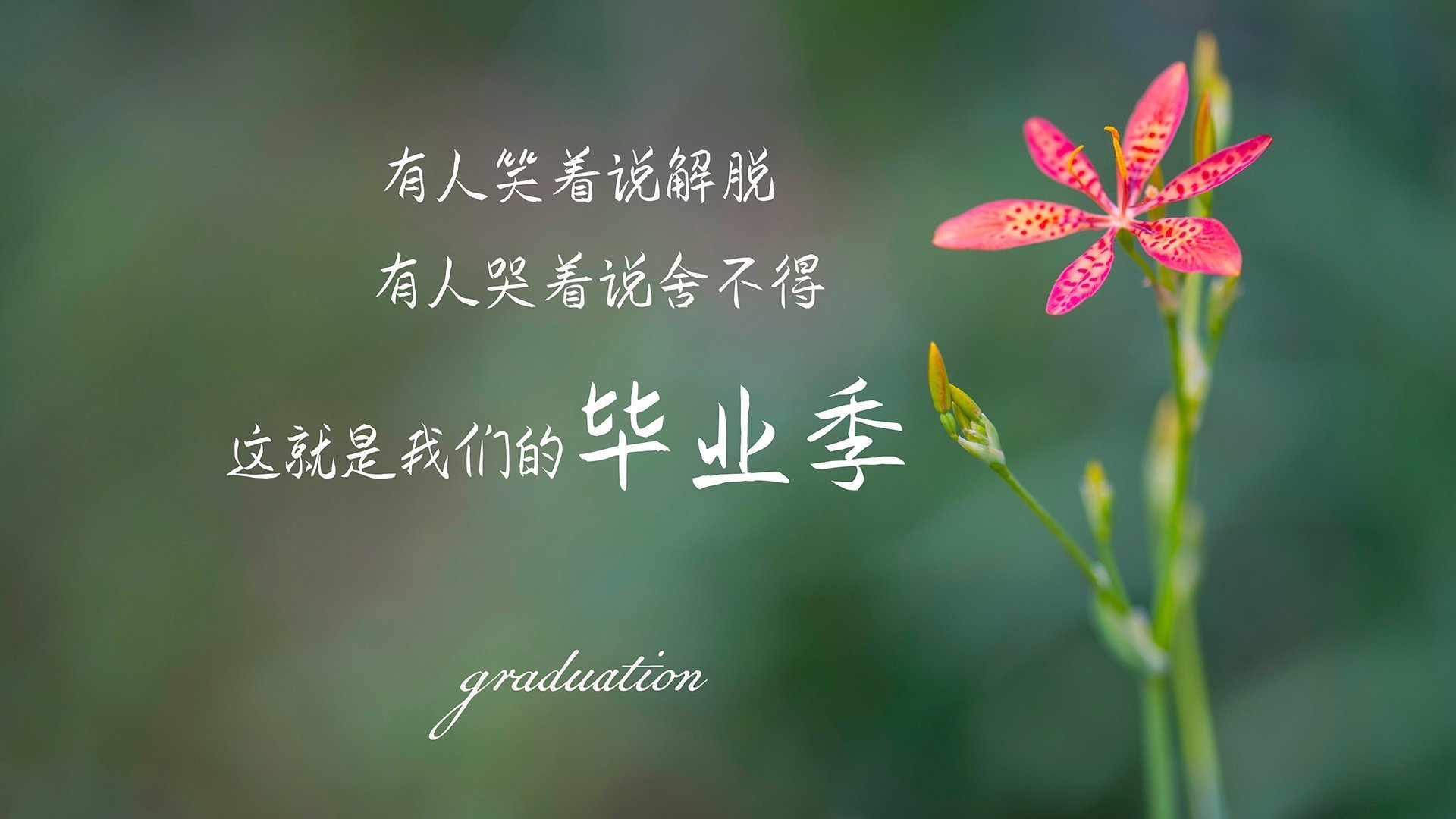 坎特加盟切尔西,球队中场衔接更流畅,坎特在切尔西是什么位置