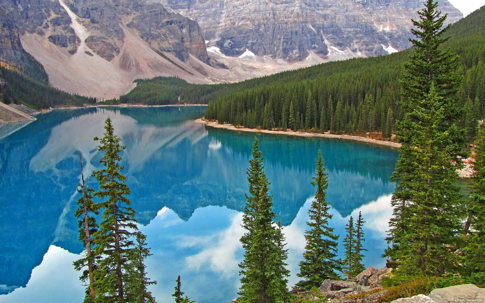 九游网页版官网入口-法国球员因伤退出，希望加拿大篮球队逆袭，法国男篮里加多