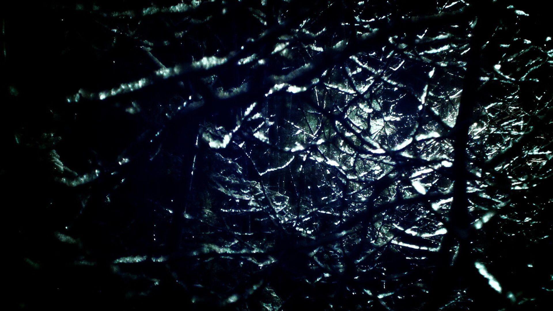 中国三人女篮战术执行精准,三人中国女篮阵容