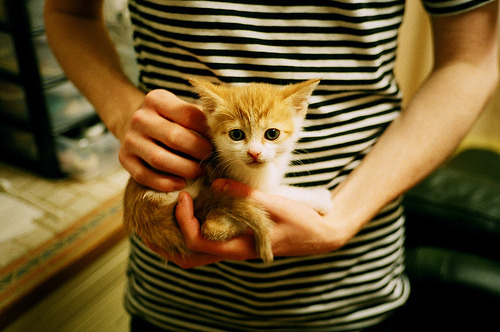 体育新闻中心发布体育赛事现场智能感知系统方案,十个智能体育赛项