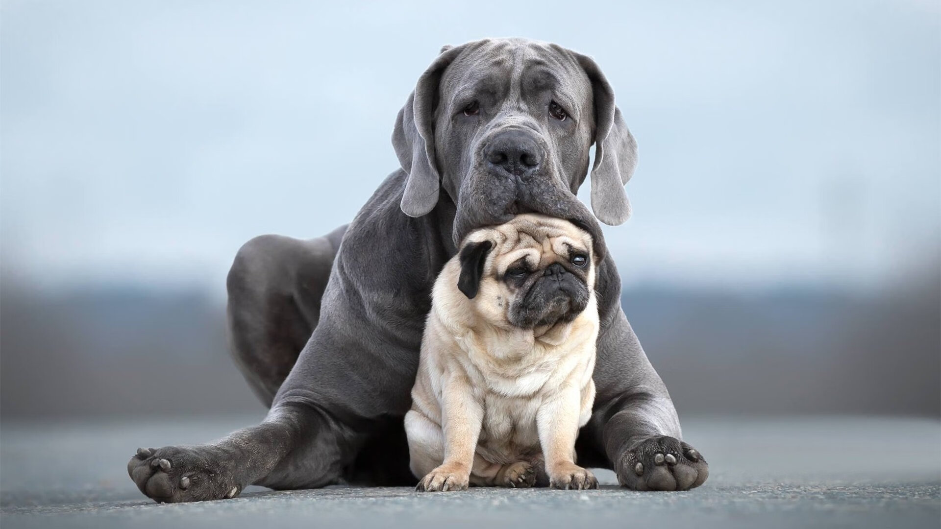 九游-希腊女篮在欧洲锦标赛中屡创佳绩，传统强队继续辉煌传承，希腊u20女篮