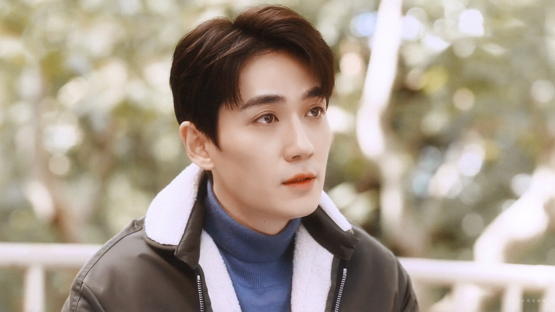 澳大利亚袋鼠队的转型与新战术,能否带来冠军?,在澳大利亚人眼里,袋鼠军团就是这样一支队伍