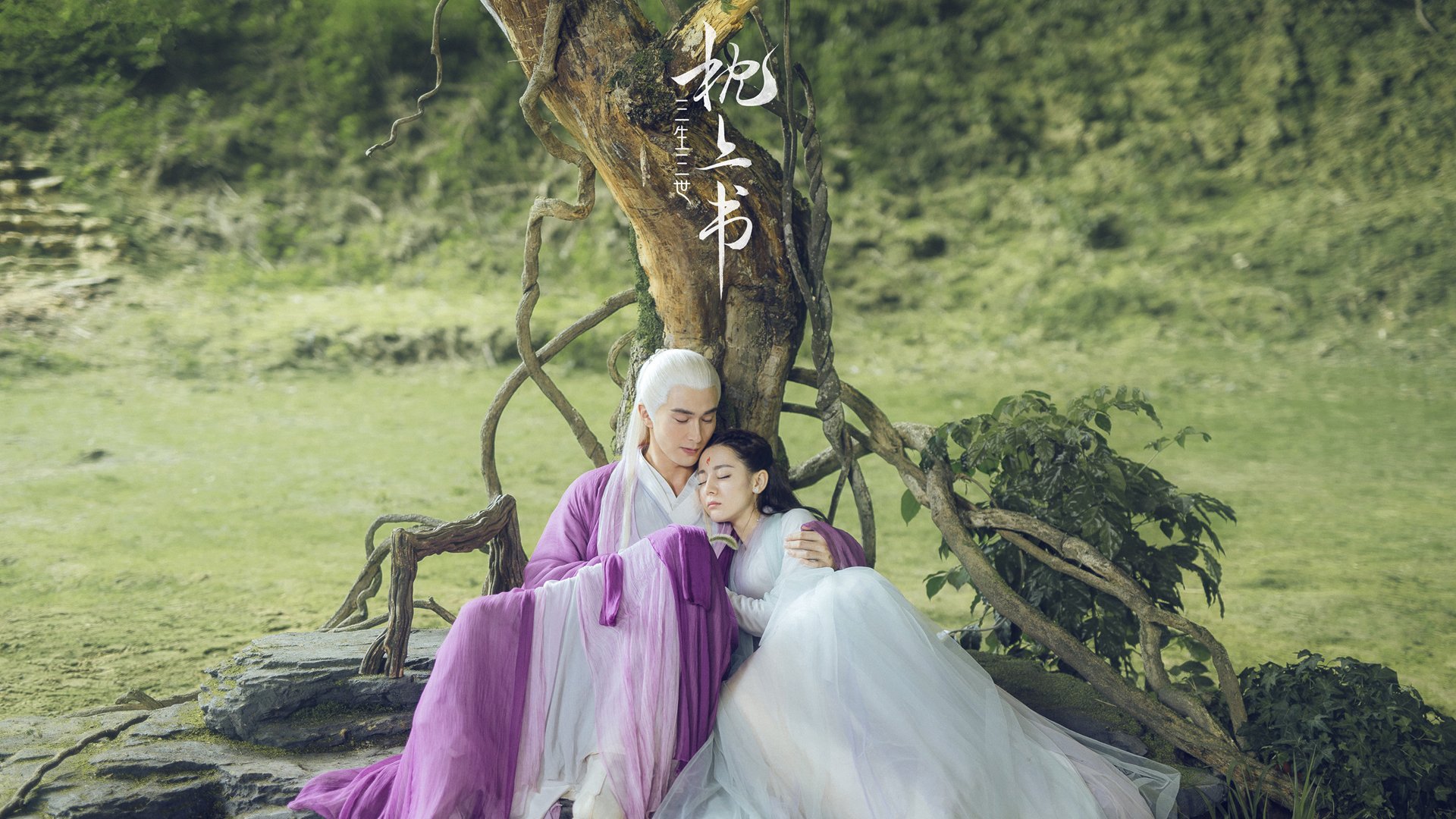 荷兰队在国际赛场战绩优异,晋级希望升腾