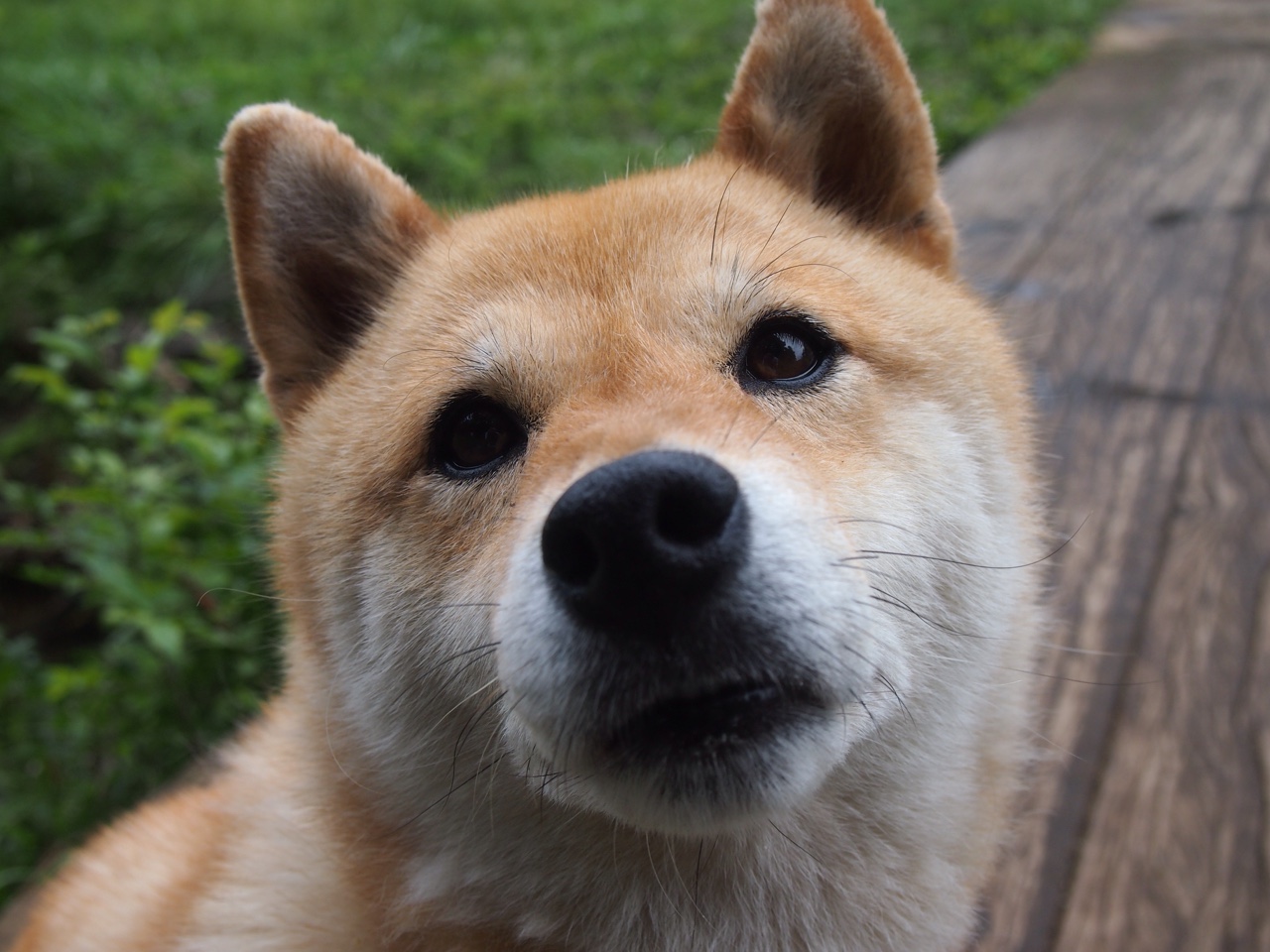 九游app下载中心-覃海洋精准转身成夺冠关键，覃海洋照片