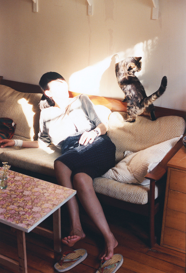 九游网页版官网-黄蜂战术课程加入动态演示提升球员记忆力，黄蜂队百度百科